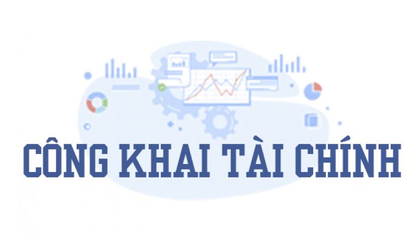 Công khai thông tin tài chính năm 2024 của các doanh nghiệp do Đài THVN đầu tư, góp vốn